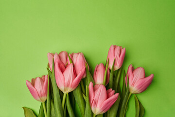 pink tulips lie on the bottom of the green background, as if growing from it