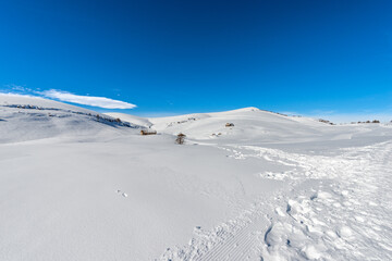 Fototapeta na wymiar Altopiano della Lessinia. Lessinia Plateau in winter with snow, Regional Natural Park, near Malga Gaibana and Malga San Giorgio, ski resort, Bosco Chiesanuova, Verona Province, Veneto, Italy, Europe.