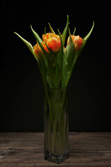 beautiful bouquet of orange tulips in a narrow transparent vase on a wooden table on a black background