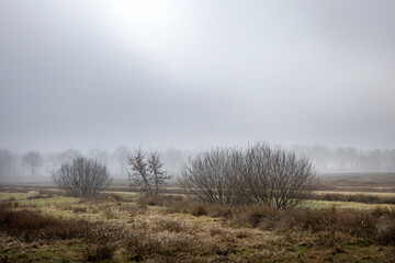 Obraz na płótnie Canvas Foggy landscape. Old meadows. Misty. Uffelter binenveen. Drenthe Netherlands.