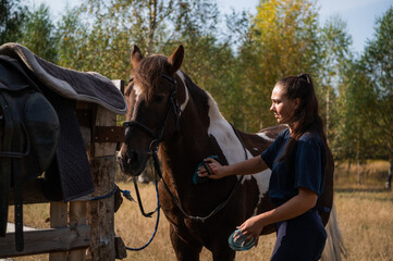 A young farm worker takes care of a horse and cleans it in the fresh air next to the stable.
