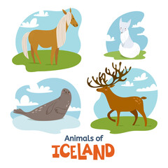 Animals of Iceland in flat modern style design