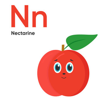Cute Vegetables and Fruit Alphabet Series A-Z. Vector ABC. Letter Nn. Nectarine. Cartoon fruits and vegetables alphabet for kids. Isolated vector icons Education, baby shower children prints, cards