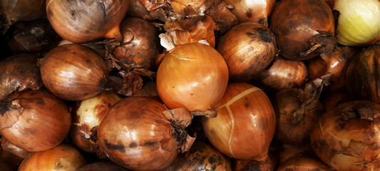 A blurry Pile of Onions Photo