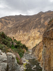 Fototapeta na wymiar canon del colca (colca valley) mountain range with river in arequipa, peru