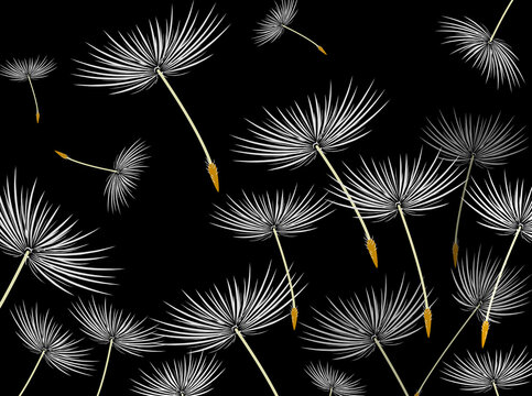 Dandelion. An image of a dandelion seed flying. Background for design.