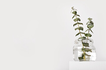Eucalyptus in glass jar on white podium. Spring fragrances concept, minimal style, low angle