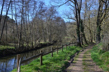 The Moine river. Rivière La Moine. Entre Clisson et St-Crespin sur Moine. Sèvremoine.  Loire-Atlantique / Maine et Loire. France