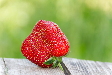Unusual square-shaped strawberries, close-up. Latest trend - Eating ugly fruits and vegetables....