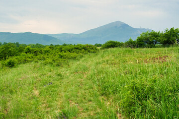 Amazing mountain view of the blooming meadow and rural road on the mountain Rtanj, Serbia
