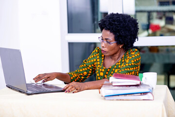 beautiful mature businesswoman working using laptop.