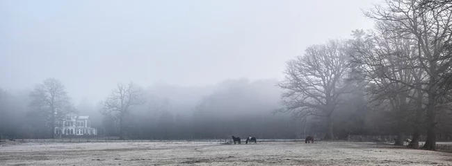 Fotobehang horses and manor beukenrode near doorn in winter morning mist © ahavelaar