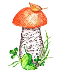 watercolor drawing boletus, element, mushroom