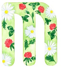 watercolor illustration, element, letter, summer, summer flowers, isolated