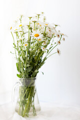 Bouquet of wild daisies on  white background