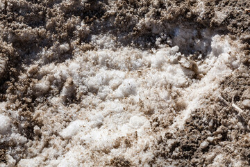 Close-up view of salt deposits, Guerrero Negro, Baja California Sur, Mexico