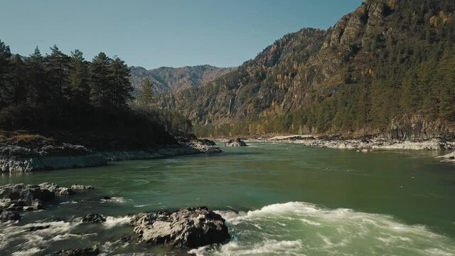 Aerial view of the powerful flow of the mountain green river Katun. A beautiful mountain valley with forest. Chemal village, Altai Republic, Russia