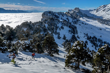 Randonnée en raquettes ,  Massif de la Chartreuse en hiver à l' Aulp du Seuil , Isère France