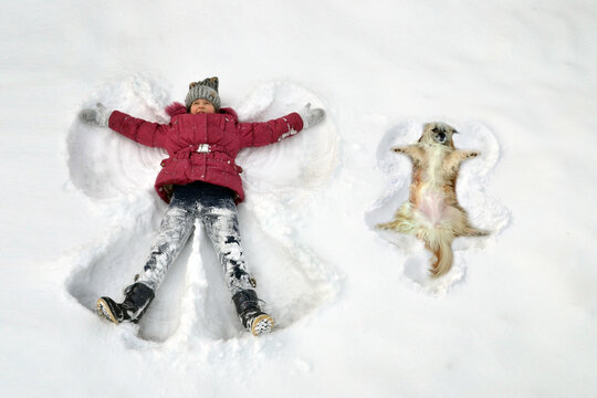 Kid in theSnow in Winter makes a Snow Angel together with a dog