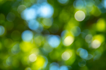 Blurred and defocused effect spring concept for design, nature view of blurred greenery background in garden using as background natural.