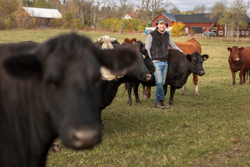 Man with cows in farm
