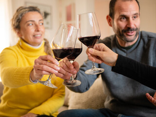 FRIENDS TOASTING WITH WINE AT HOME