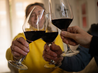 FRIENDS TOASTING WITH WINE AT HOME