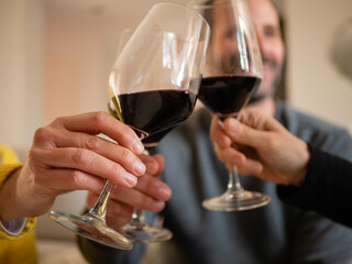 FRIENDS TOASTING WITH WINE AT HOME