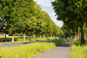 Radweg entlang einer Landstraße im Sommer