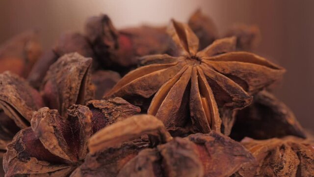 star anise aniseed spice 4k