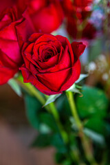 Red Red Rose