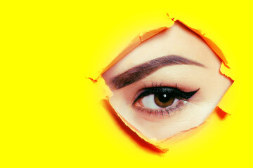 Beautiful brown eye, arrows, perfect eyebrows. Beauty salon, eyebrow master, tattoo master shooter and eyebrow. Beautiful eye on a yellow background