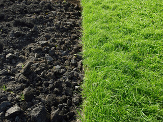 Pile of soil on the ground with green grass