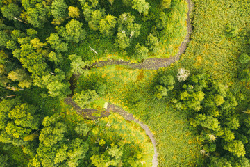 Aerial drone view of winding river in greenfield. Lush wetlands of bird's eye view. Discover the...