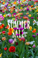 Summer Sale spring background with flowers