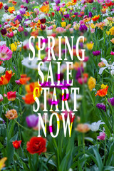 Spring sale start now spring background with flowers