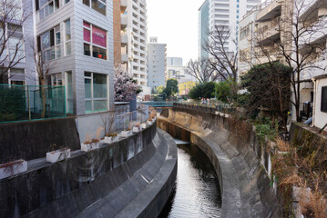 渋谷川