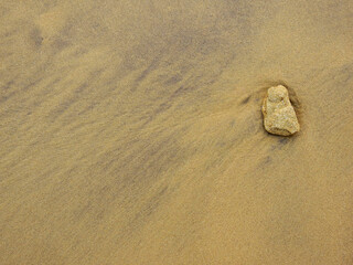 stone on sand beach after low tide