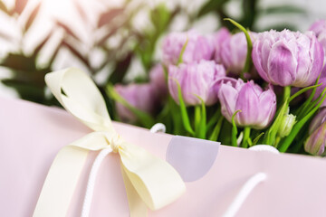 Close-up detail of fresh beautiful present of tender violet peony tulips bouquet and paper gift bag with romantic bow. Wedding or anniversary celebration surprise background. Pastel floral decoration