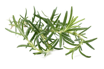 Fototapeta premium Branch of rosemary on white background. 