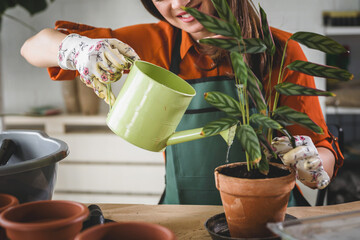 A happy young woman enjoys time at her homegarden. She is watering a plant with a watering can.