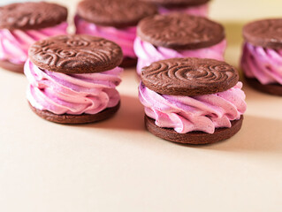 Marshmallow sandwich. Chocolate cookies, berry marshmallows, zefir.