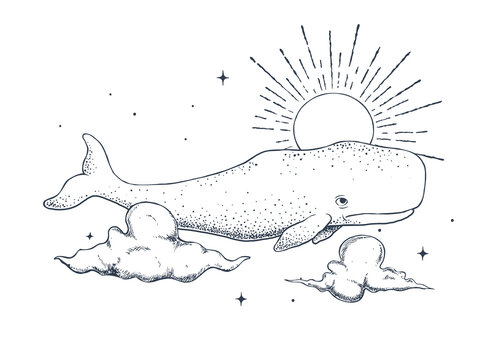 cachalot swims in the sky