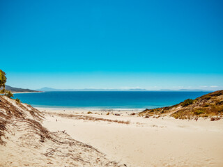 Fototapeta na wymiar Sand dune of Bolonia beach, province Cadiz, Andalucia, Spain