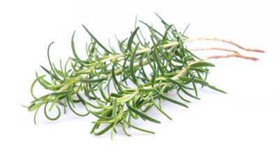 Fresh Rosemary Herb isolated over a white background