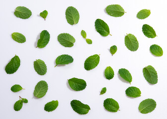 Top view of Mint leaves pattern isolated on white background.