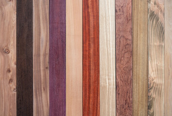 The wood panel, colorful texture background