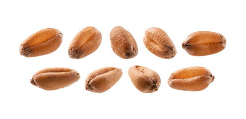 A set of wheat grains. Isolated on a white background