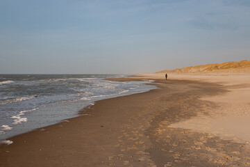 Walking along the North Sea beach and the dunes on the Wadden island of Texel on a beautiful sunny...