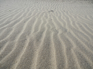 Sand texture. Sandy beach as a background. Top view